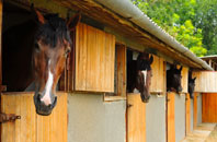 free Attenborough stable construction quotes